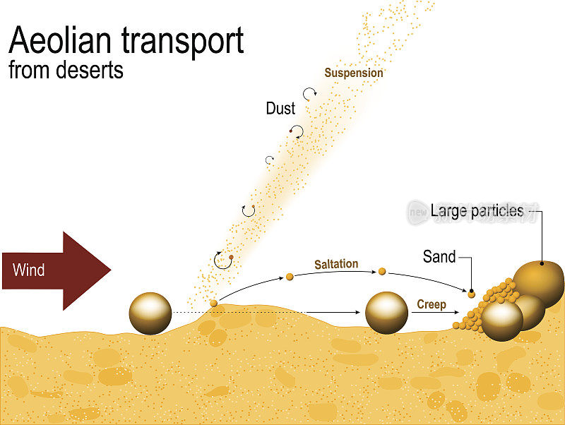沙漠的风沙运输