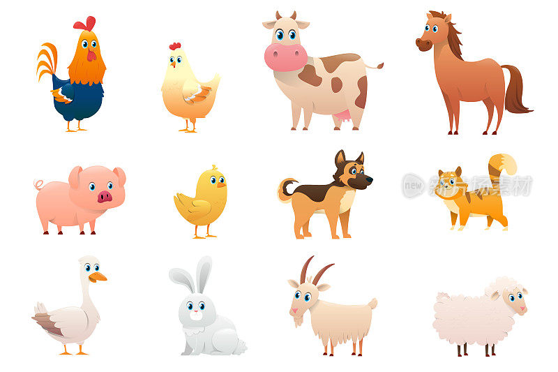 以白色为背景的农场动物的集合。系列不同农场动物按颜色:鸡、鸡、牛、马、猪、鸡、狗、猫、鹅、兔、山羊、绵羊。矢量图
