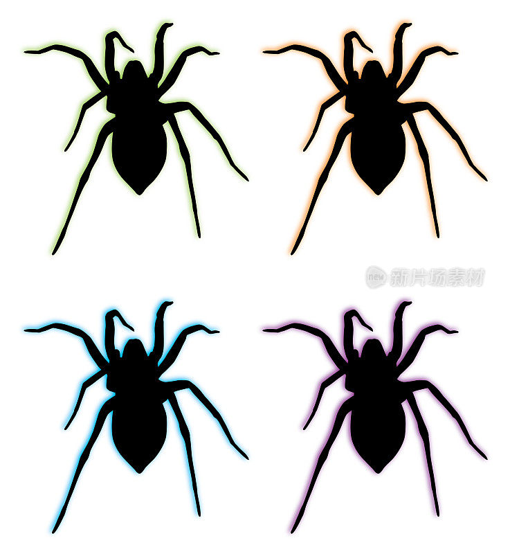 四只有着彩色阴影的黑蜘蛛