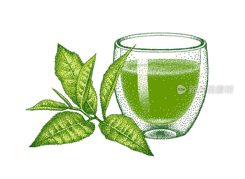 双层玻璃杯抹茶绿茶。绿茶叶子。插图在复古风格，点彩主义。手绘雕刻矢量草图。