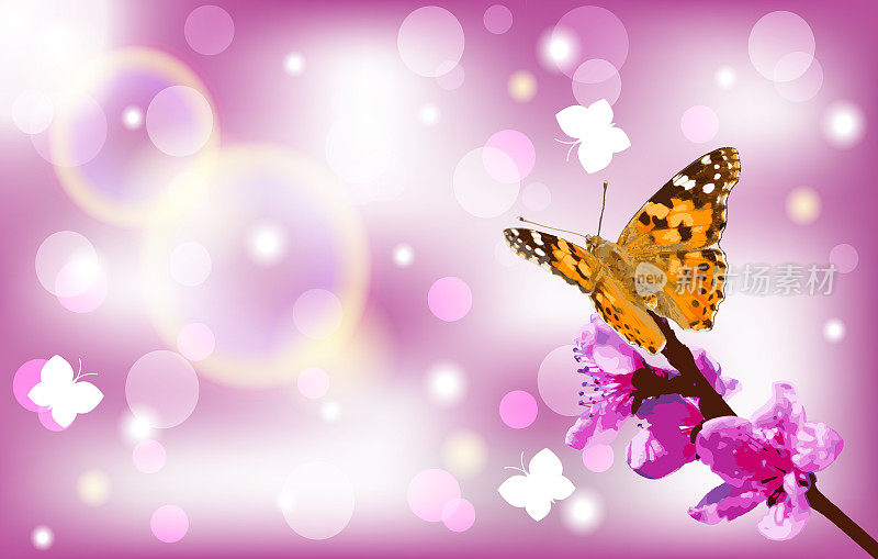 蝴蝶-彩绘女士-凡妮莎卡杜伊飞到一个开花的树枝上的桃树。矢量插图。