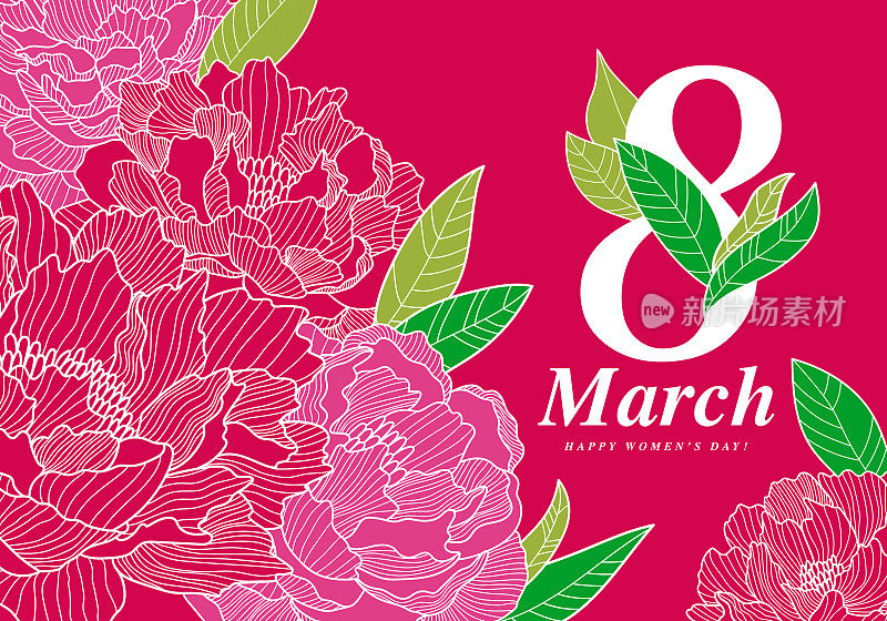 3月8日是国际妇女节。令人惊叹的红色和粉色牡丹在红色背景上盛开。茂盛的牡丹花蕾。一张漂亮的明信片或海报。