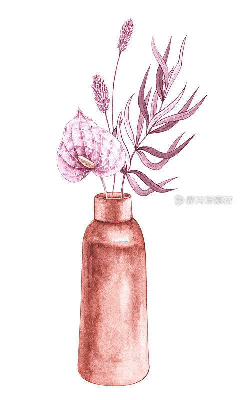 水彩花瓶与干燥的热带花卉在白色背景波西米亚风格