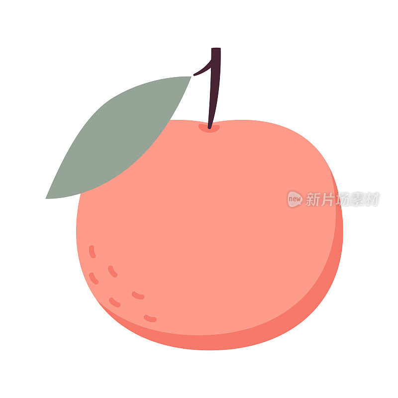 桃卡通矢量。用叶子图标涂鸦桃子。白色背景上孤立的桃心形状的果实。农场，天然食品，新鲜水果。