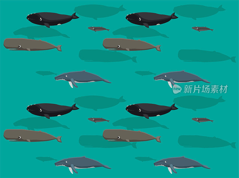 鲸鱼精子右侏儒座头鲸可爱的卡通姿势无缝壁纸背景