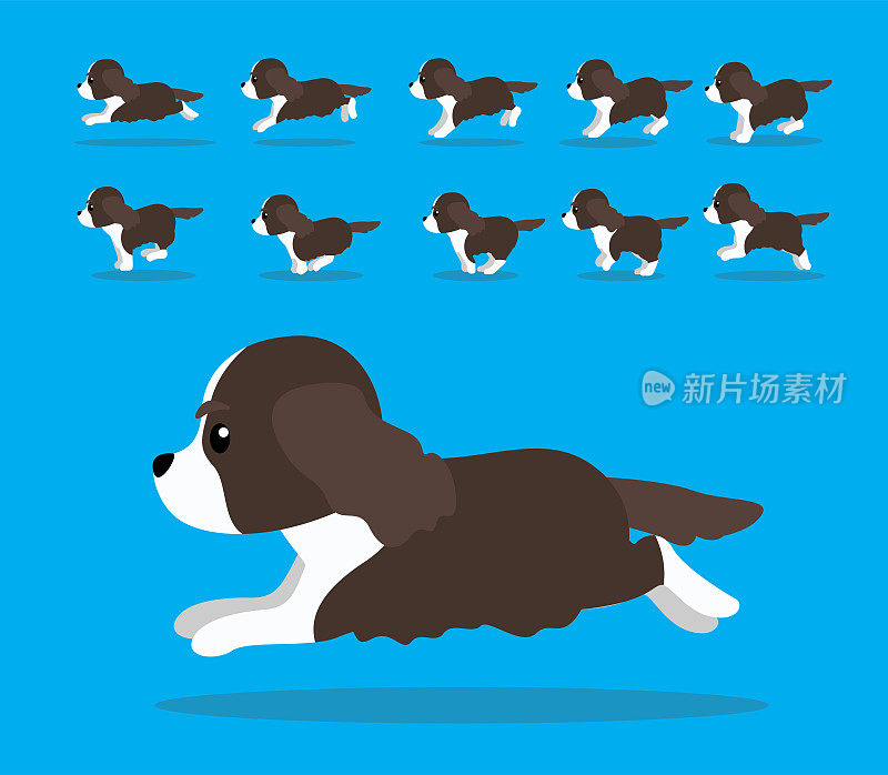 动物动画序列狗英语施普林格西班牙猎犬卡通向量