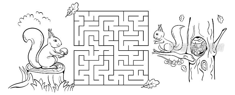 松鼠迷宫游戏。帮助松鼠把蘑菇带到橡树上的洞里。黑色的草图。着色页面。