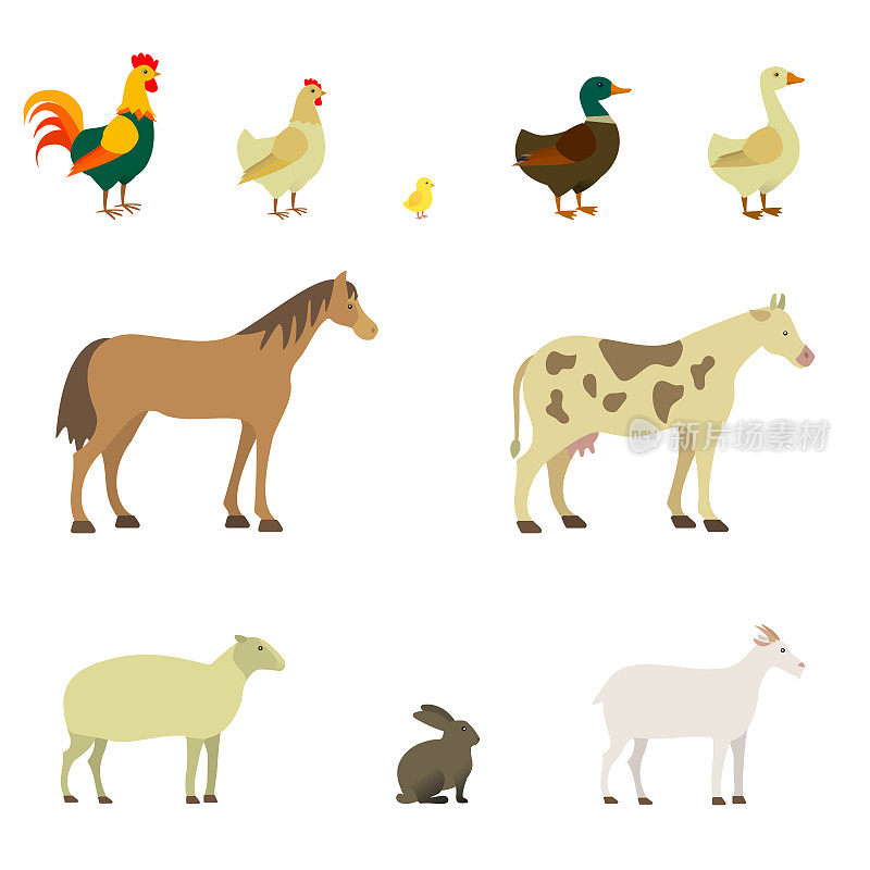 宠物。鸡，鸡，鸡，鸭，鹅，马，牛，羊，兔，山羊