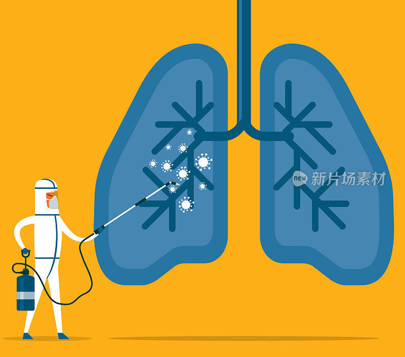 冠状病毒-人类肺部