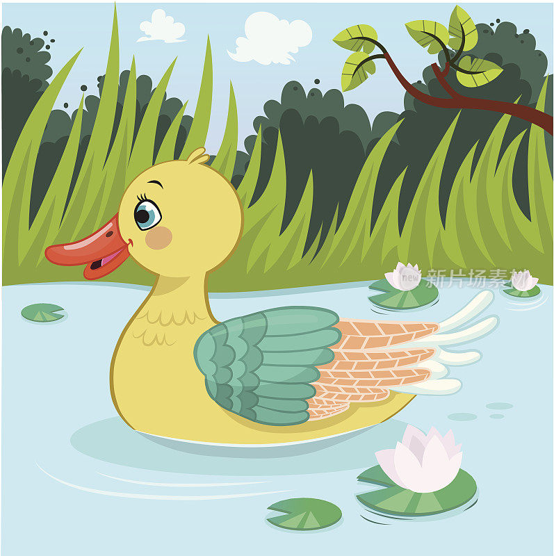 池塘上的鸭子