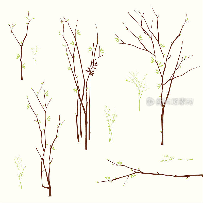 春天Branches-Design元素