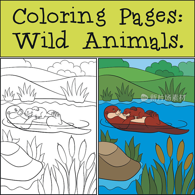 涂色页:野生动物。可爱的小水獭笑了。