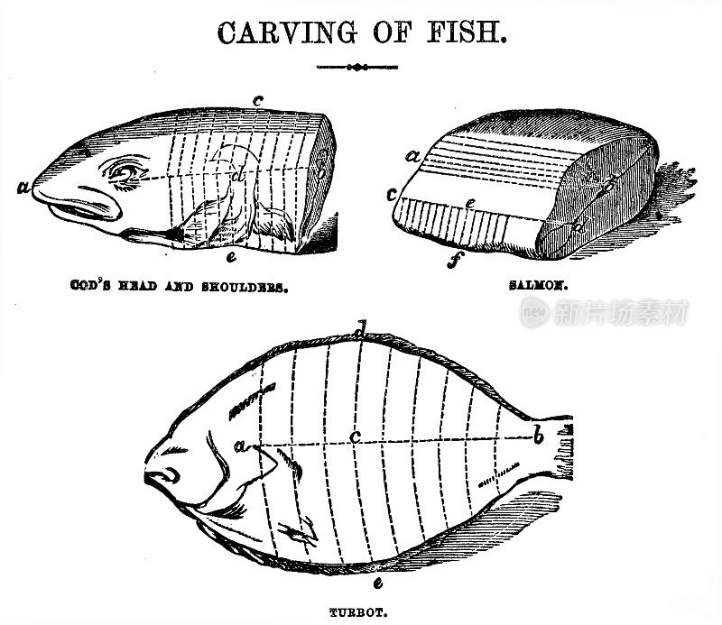 维多利亚时代的插图，为19世纪的家庭主妇或烹饪文字雕刻鱼的各种方式;出自比顿夫人1899年的烹饪书