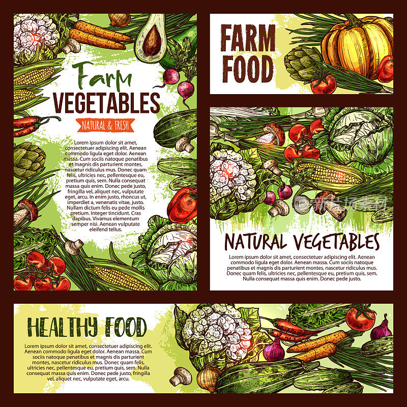 载体天然蔬菜食品速写海报
