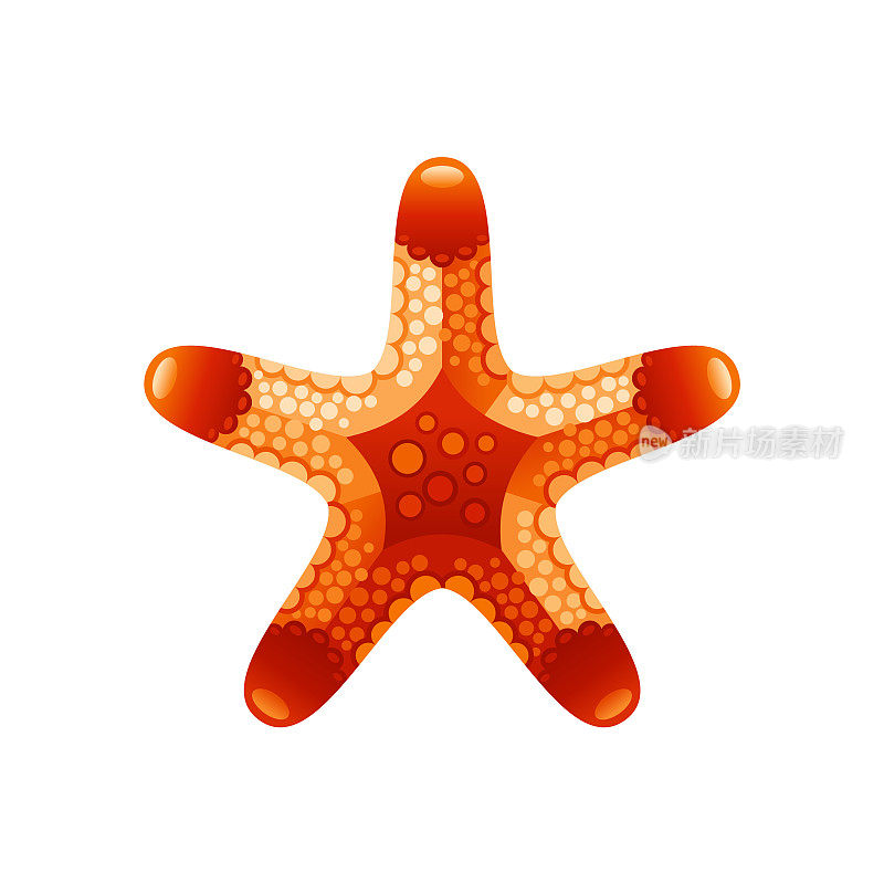 星鱼向量。海星插图。海滩卡通红色图标。珊瑚礁橙色动物。孤立的夏季海洋海贝标志。平恒星外壳。沙滩海星形状逼真的绘图