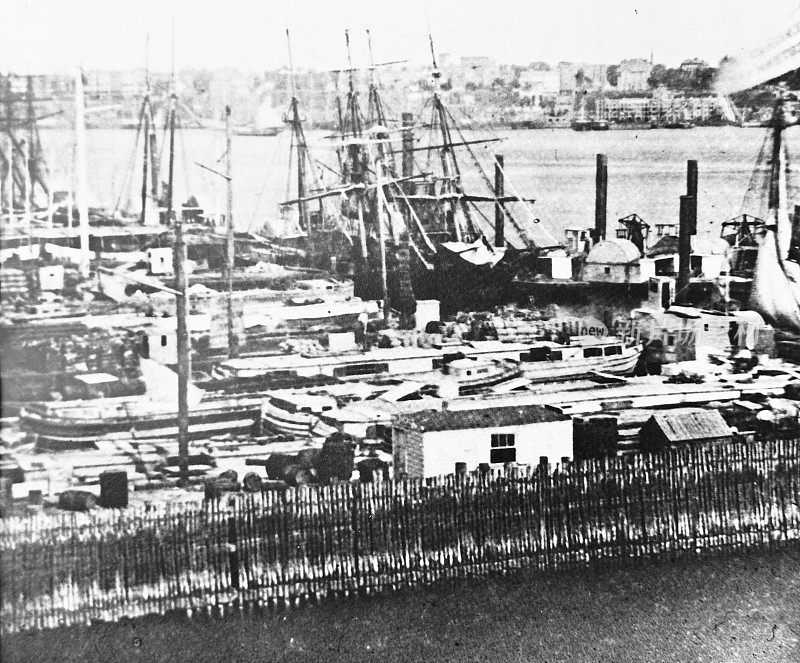 纽约市南街码头的港口，1856年