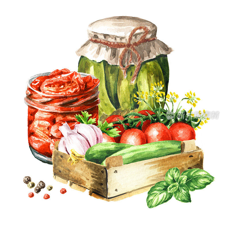 自制罐装蔬菜水彩手绘插图，孤立在白色背景