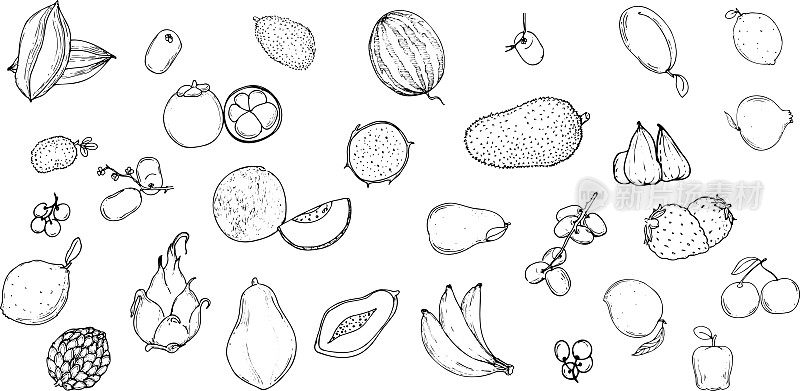 收集手绘水果和蔬菜涂鸦集图标在白色背景。