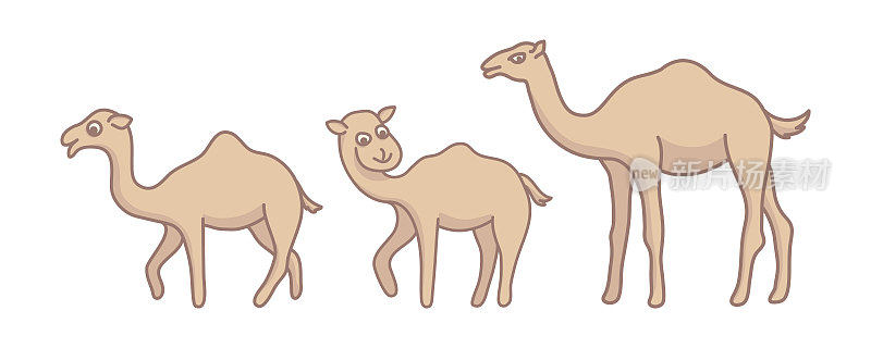 骆驼卡通人物平面造型集矢量