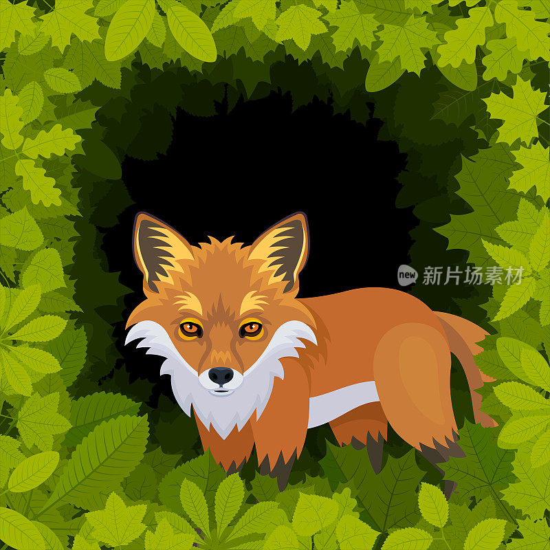 森林里的狐狸。吉祥物创意Logo设计。