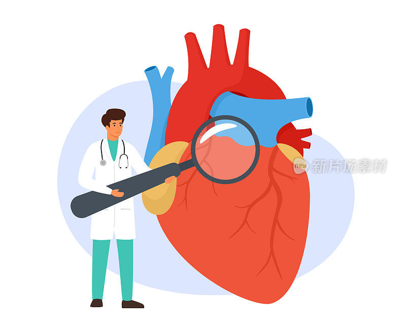 心脏病学概念的矢量图解。心脏科医生手持放大镜检查心脏。