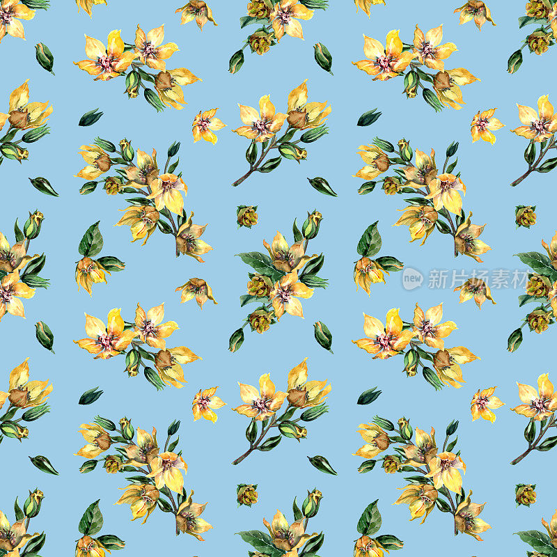 无缝花卉图案。春天盛开的茉莉花枝上有黄色的花，嫩芽，绿叶。手绘水彩插图蓝色背景的纺织品，织物，墙纸，包装纸。