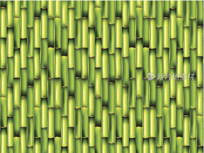 竹绿色背景矢量插图