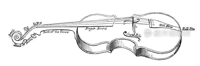 19世纪的雕刻-小提琴的部分