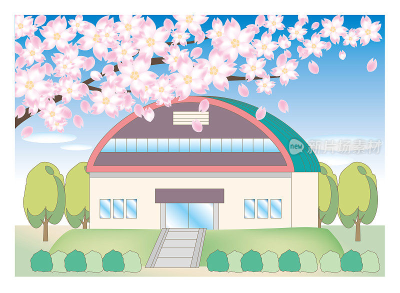 樱花树和学校景观-体育馆