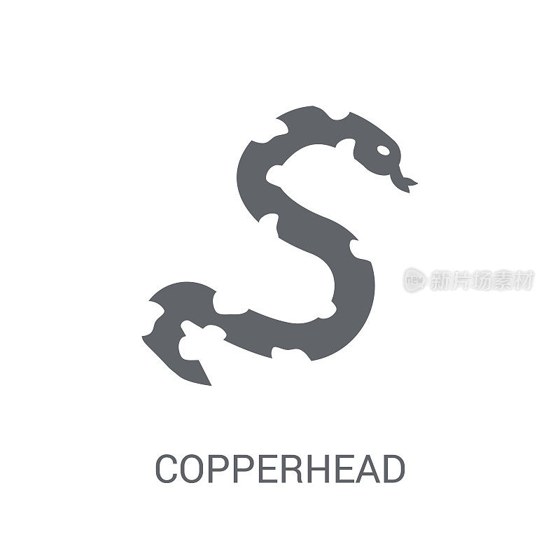 铜斑蛇图标。时髦的铜头标志概念的白色背景从动物收集