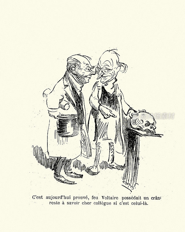 法国关于颅相学的讽刺漫画，伏尔泰的骷髅