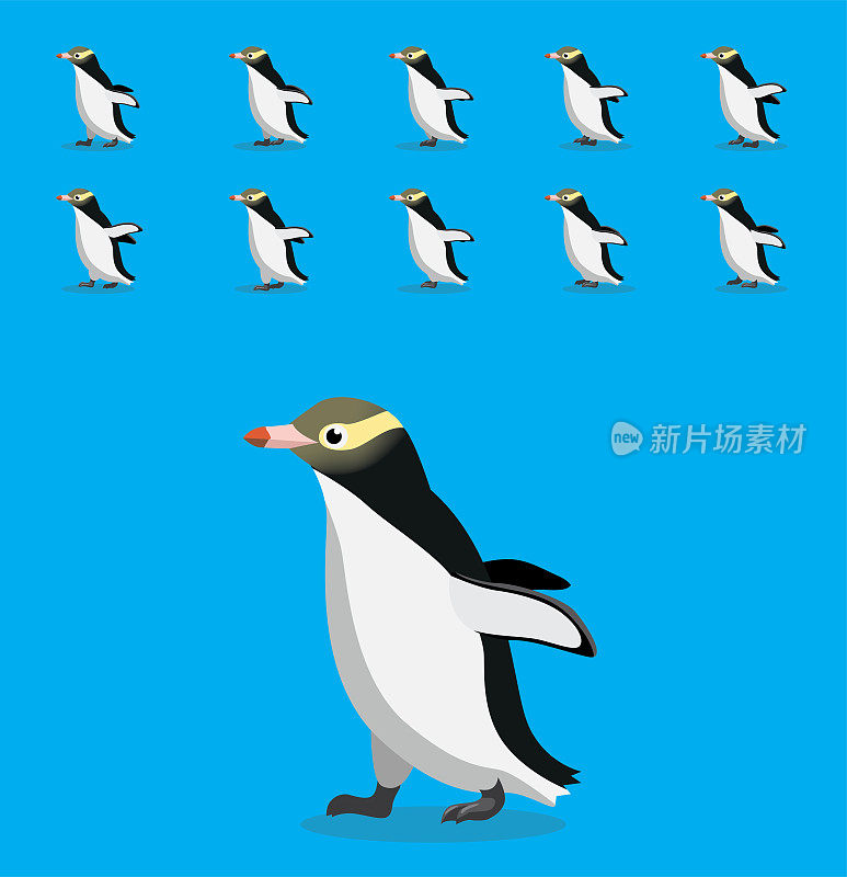 动物动画序列黄眼企鹅卡通向量