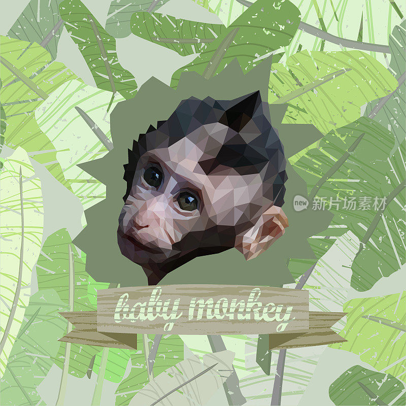 海报上有一个可爱的猴子宝宝的多边形肖像，背景是绿色的芭蕉叶