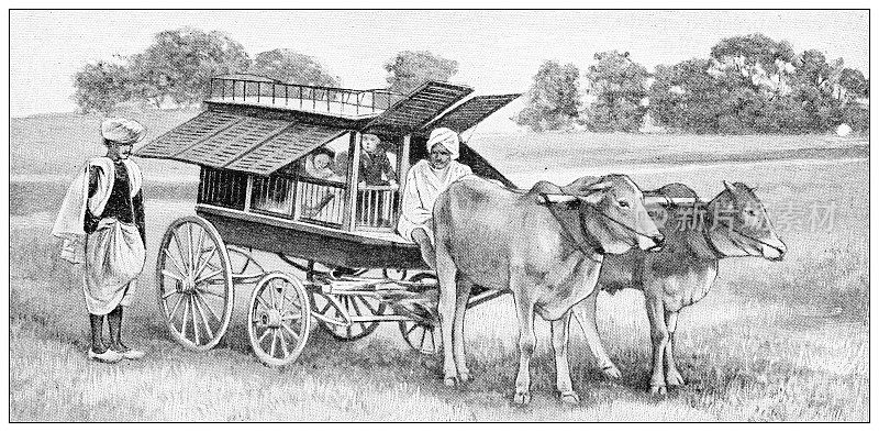 古董黑白照片:世界上不同的汽车、手推车和马车，印度