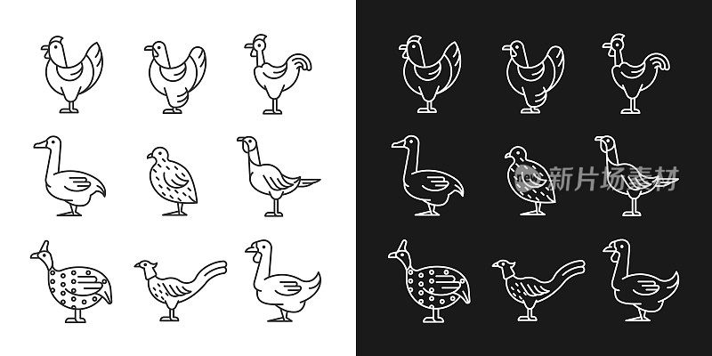 家养鸟类线性图标设置为黑暗和光明模式