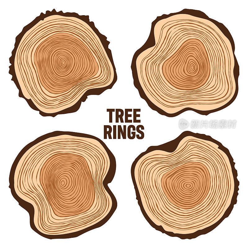 圆树干切割，锯松或橡树片，木材。锯切木材，木材。棕色木质纹理，树木年轮。手绘草图。矢量图