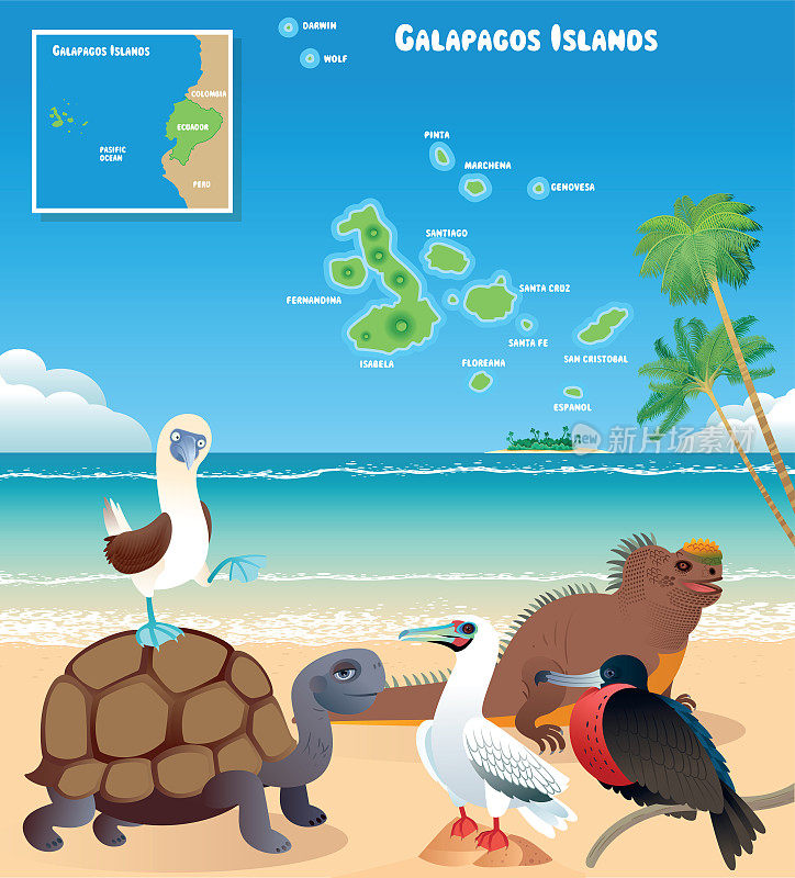 加拉帕戈斯群岛和动物