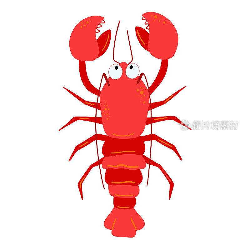 白色背景的海螯虾插图。矢量插图卡通平面风格
