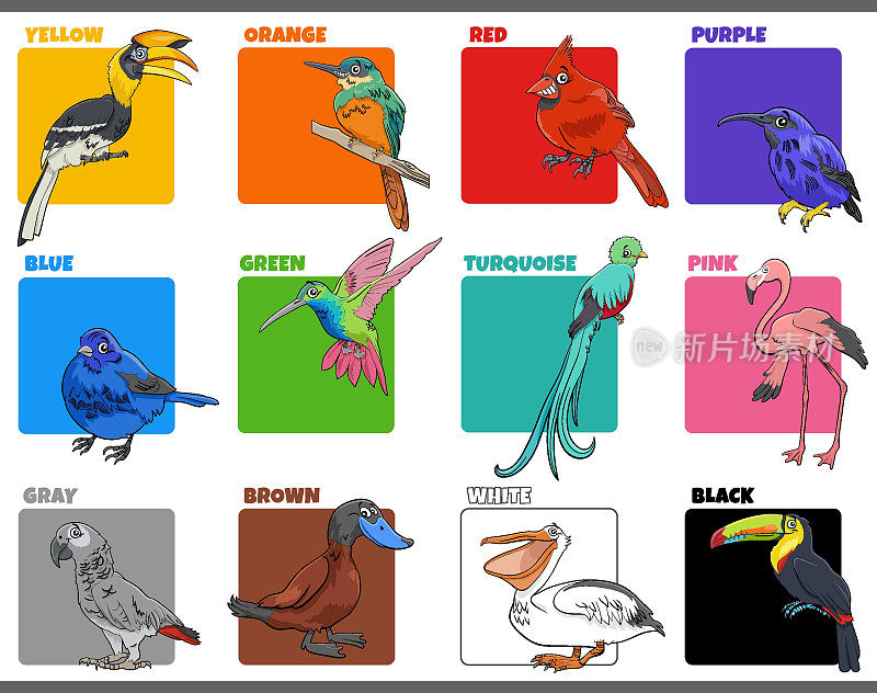 基本颜色设置与卡通鸟类动物人物