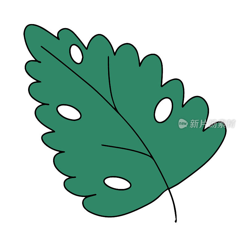 清新自然的绿叶，带笔触。矢量插图在手绘风格。