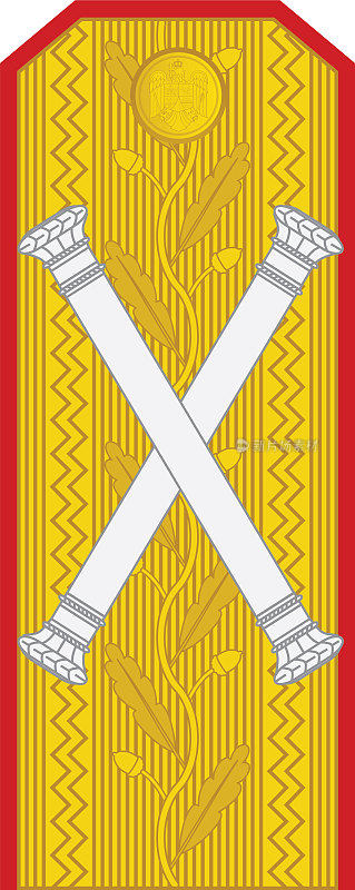 肩垫军事北约罗马尼亚军官徽章MAREȘAL(陆军元帅)