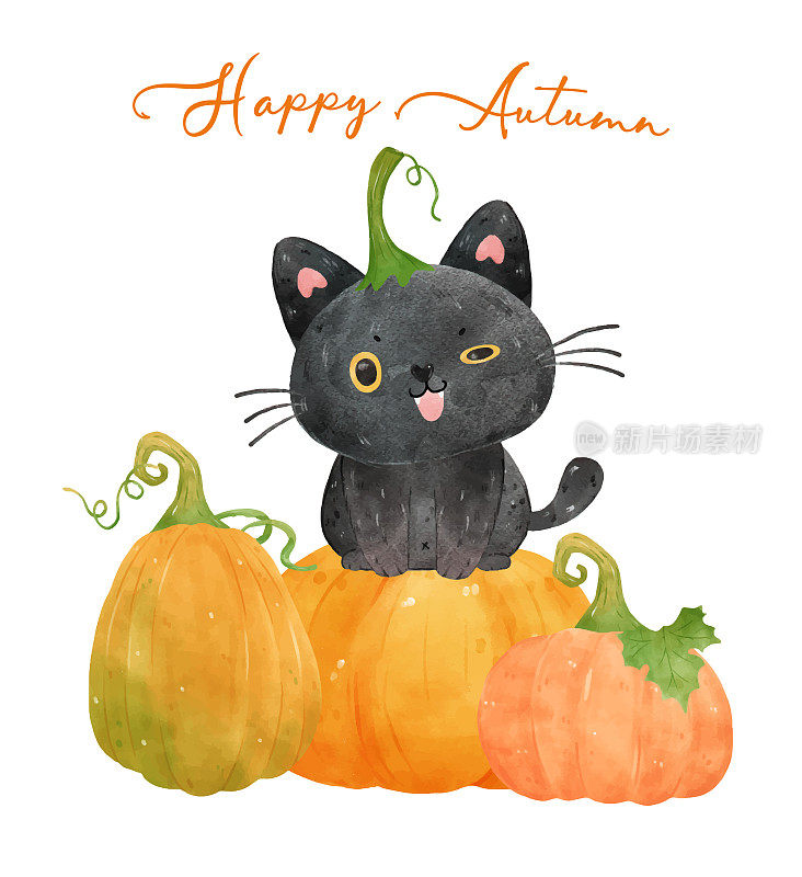 可爱的水彩有趣的黑色小猫小猫坐在橙色的南瓜，快乐的秋天，水彩矢量孤立在白色的背景