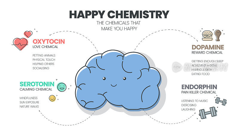 快乐化学信息图有4种化学激素，如催产素(爱)，血清素(镇静)，多巴胺(奖励)和内啡肽(疼痛杀手)。快乐的化学物质的概念。Presentatation幻灯片。