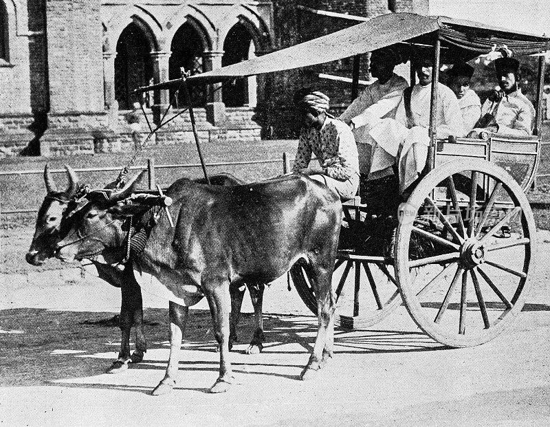 1895年印度的人物和地标:莫弗西尔牛车