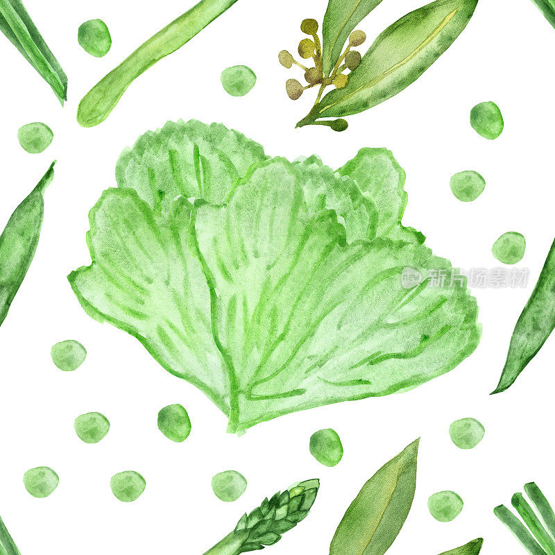 水彩无缝模式的绿色蔬菜和生菜叶孤立的白色背景