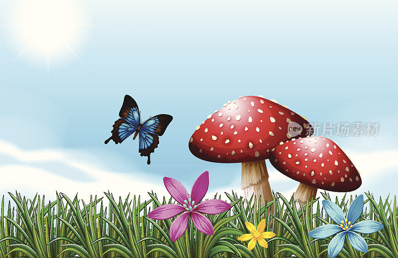 蝴蝶靠近红色的蘑菇