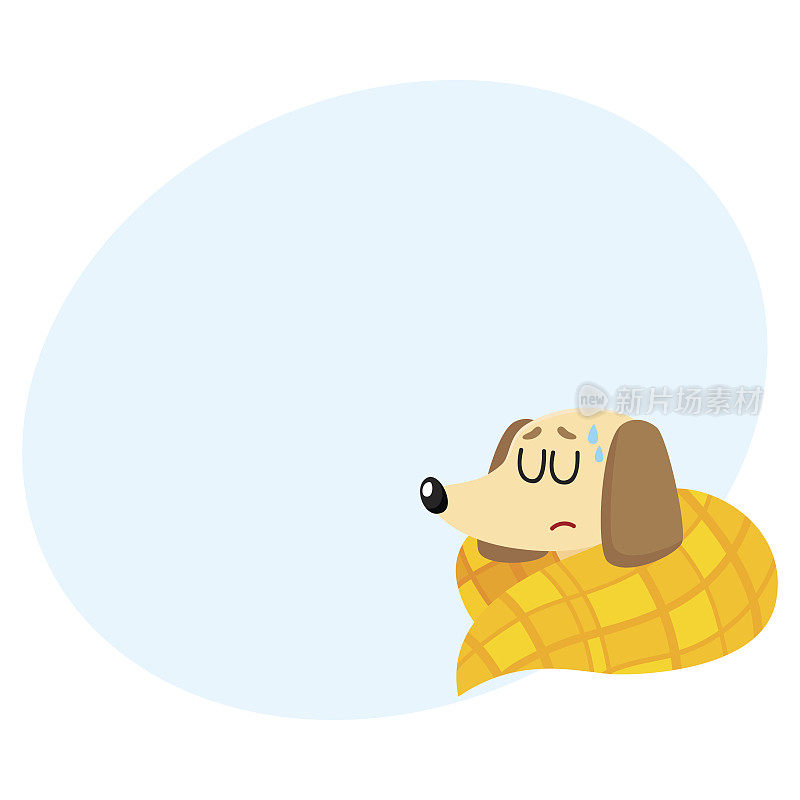 生病的小獾狗得了流感，发烧，睡在毯子里