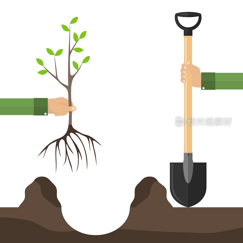 用铲子种树苗的人。种植一棵树的概念。一只手拿着铲子，另一只手拿着树苗。