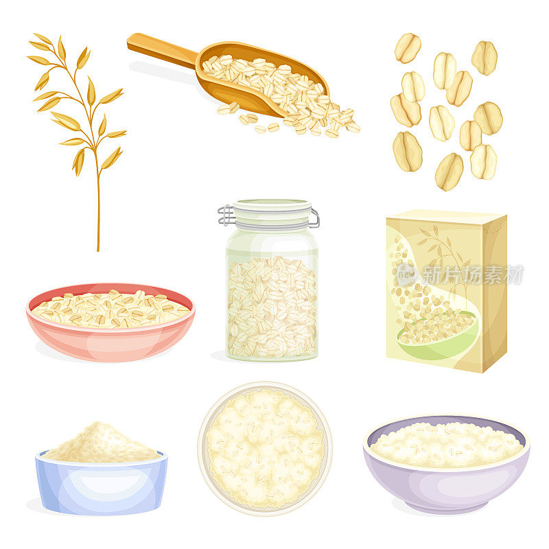 燕麦片作为全谷物食品与碾压燕麦在碗和谷物在包装向量集