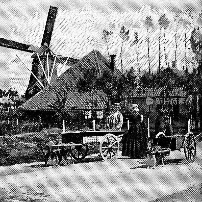 19世纪荷兰乡村生活